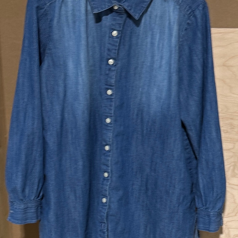 Style & Co. Blue Casual Button-Down Denim Shirt